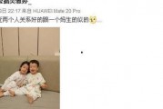 苏醒爆料吴雅婷视频播放,真相与争议并存