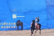 吴磊狗仔爆料视频大全最新,揭秘明星幕后生活瞬间