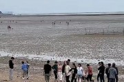 赶海直播间爆料视频下载,海量爆料视频下载攻略