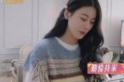 娱乐圈业内爆料赵昭仪,揭秘幕后真相与行业内幕